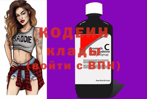 дмт Гусев