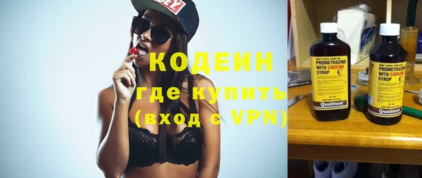 дмт Гусев